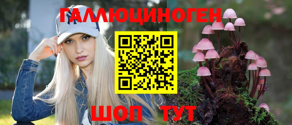 Псилоцибиновые грибы Psilocybe  Вход с VPN  Калуга 